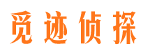 黎川市场调查